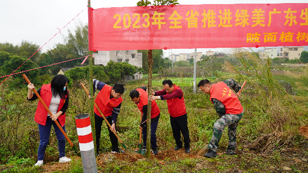 已编辑图片