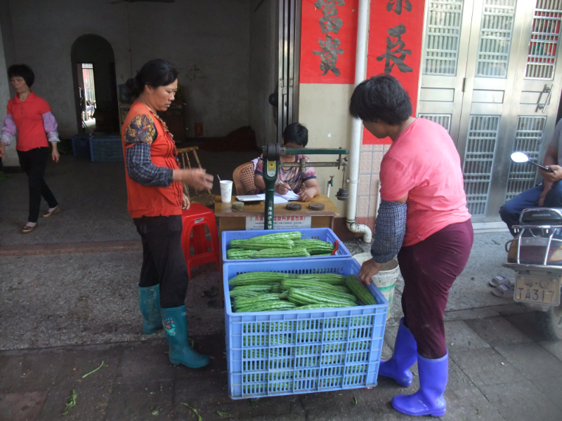 DSCF2681.JPG