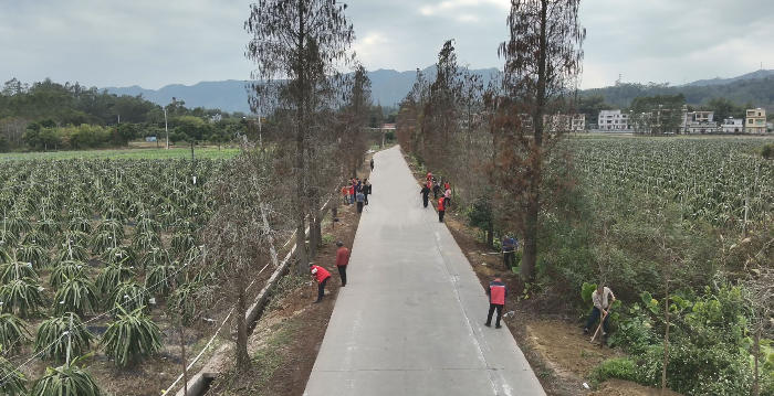 已编辑图片