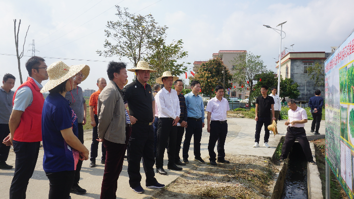 调研双底村油菜花基地图片(1).jpg