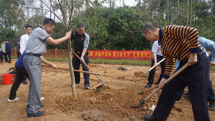 植树图片(1).JPG