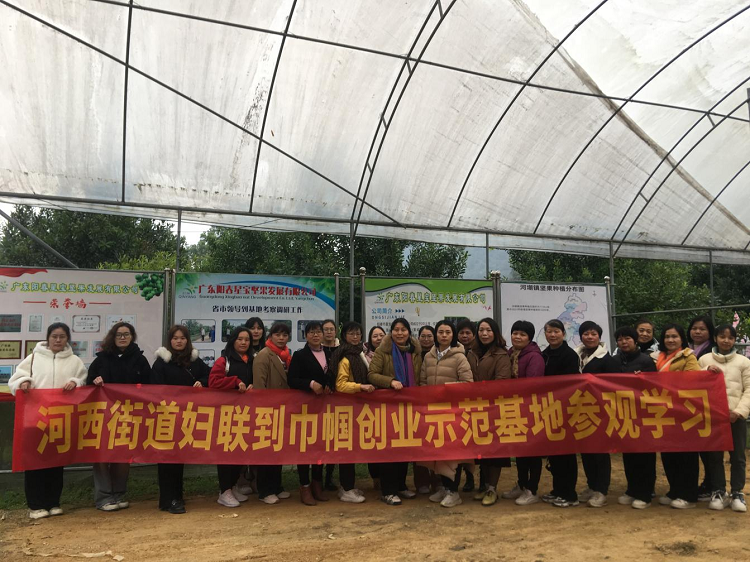 图片17.png