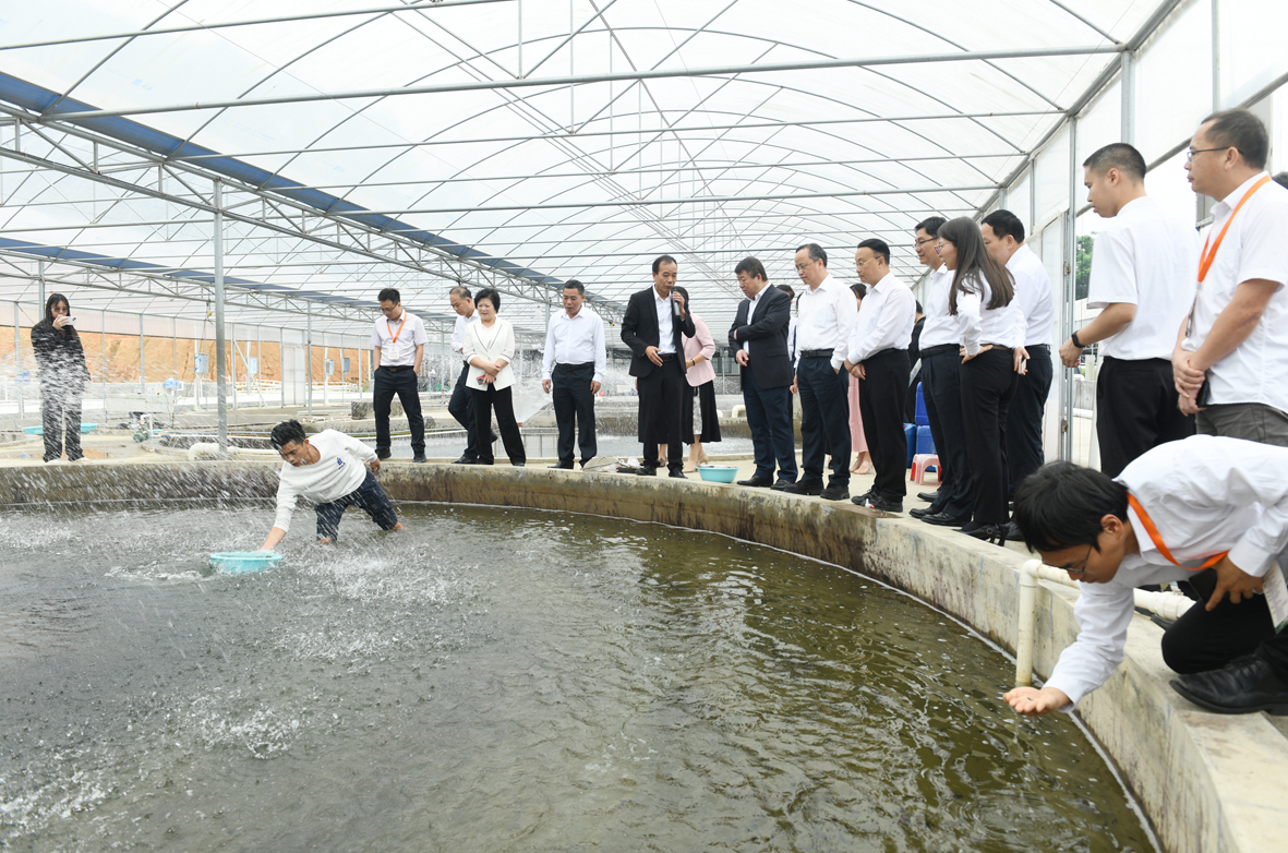 14-DSC_9354.JPG