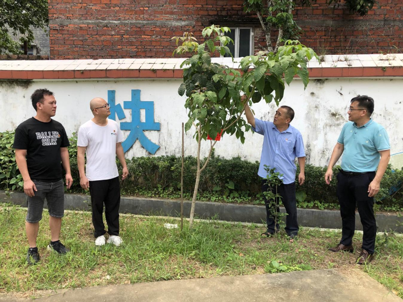 图片 13.png