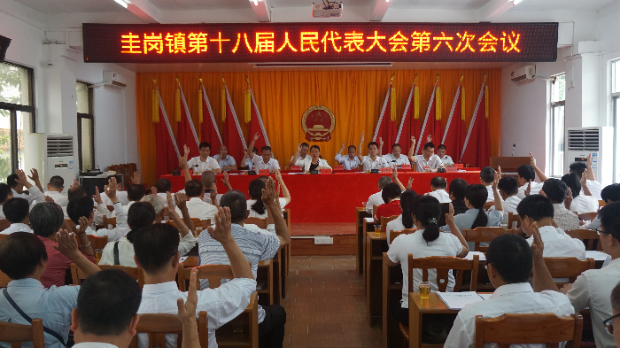 人大代表表决.JPG