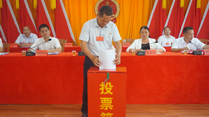 镇人大代表进行不记名投票.JPG