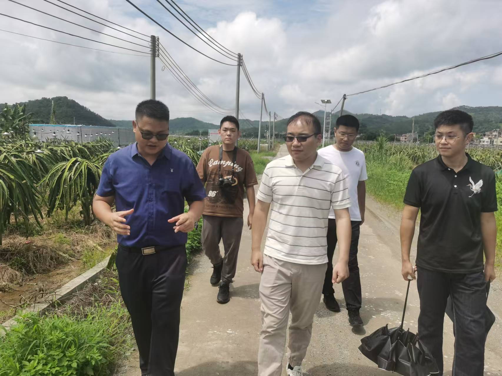 罗村火龙果基地.jpg