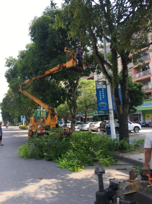 已编辑图片