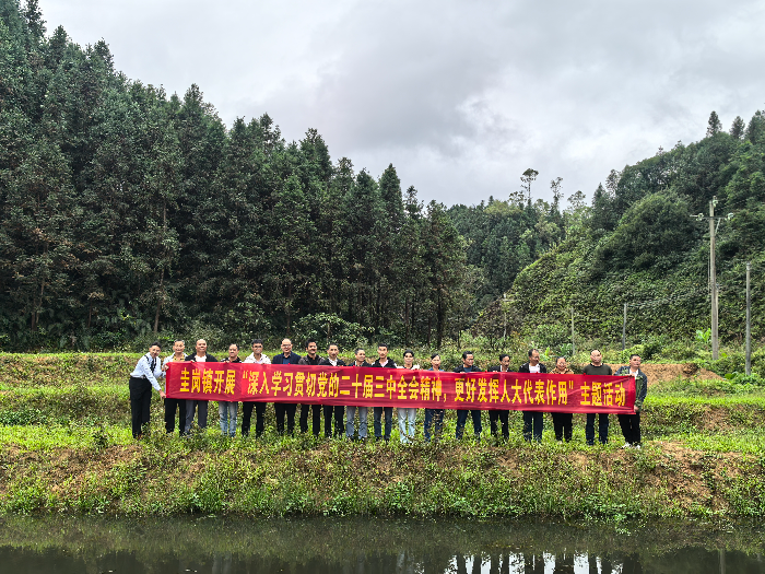 已编辑图片