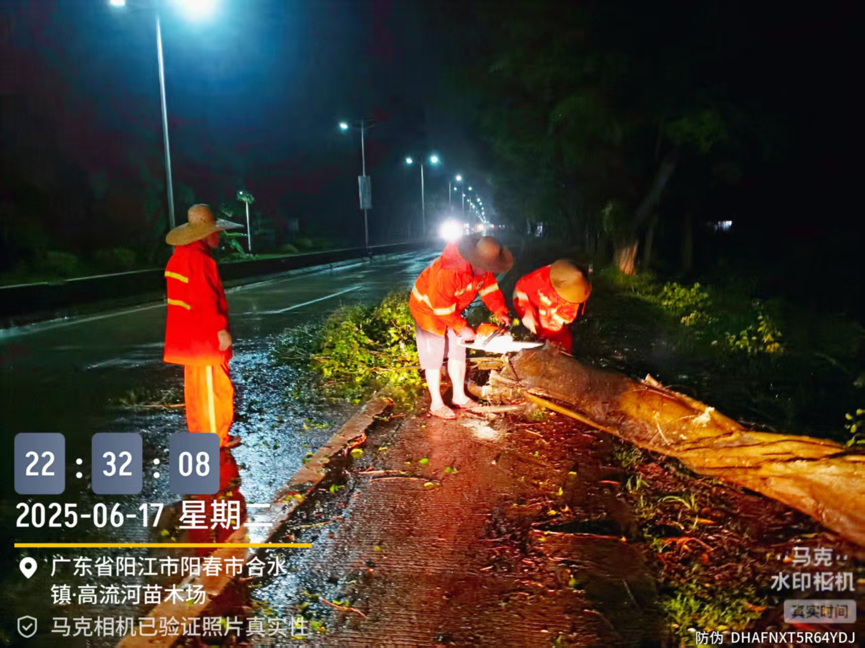 3225K十700m清理断树.jpg