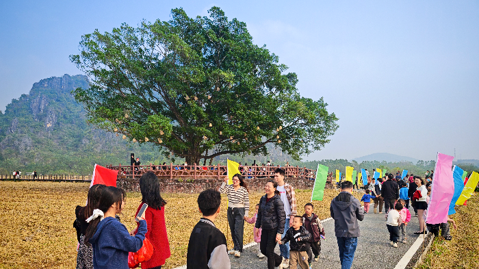 IMG_20260101_152137.jpg