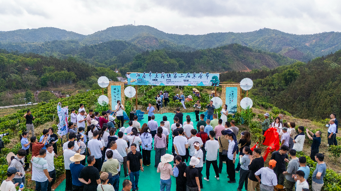 DJI_20260327092711_0005_D（调整）.JPG