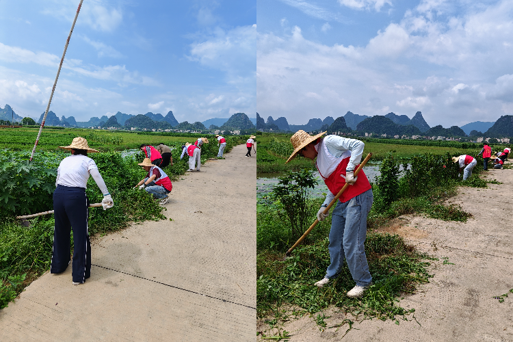 除草2.jpg