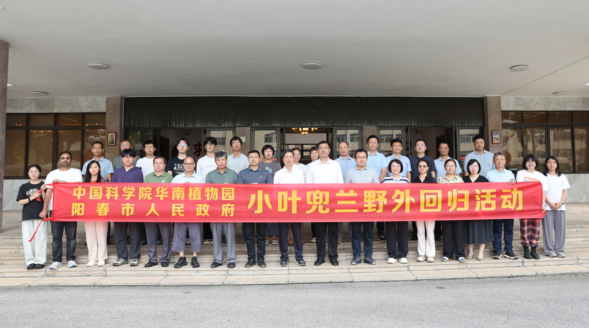 多方携手共护珍稀物种    小叶兜兰在我市实现野外回归