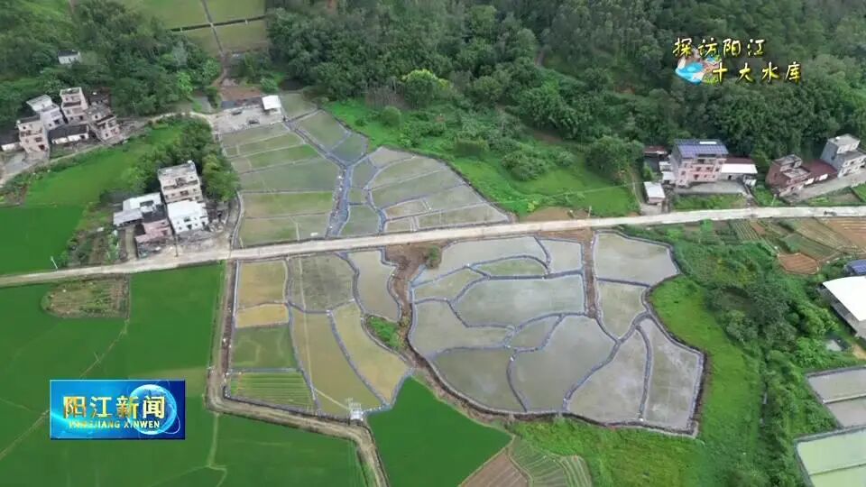 禾虫+高端大米！阳春这波操作好“香”
