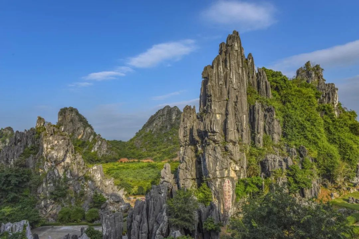 春湾石林,又名"莲花洞石林,位于阳江市阳春春湾镇春湾风景区,占地200