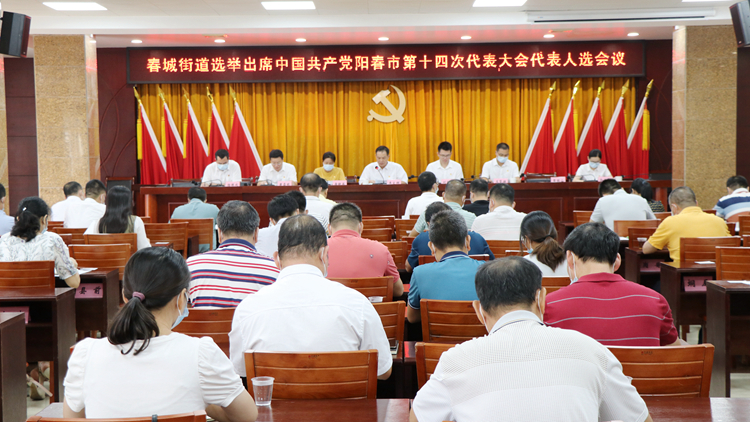 春城街道选举产生21名出席中共阳春市第十四次代表大会代表