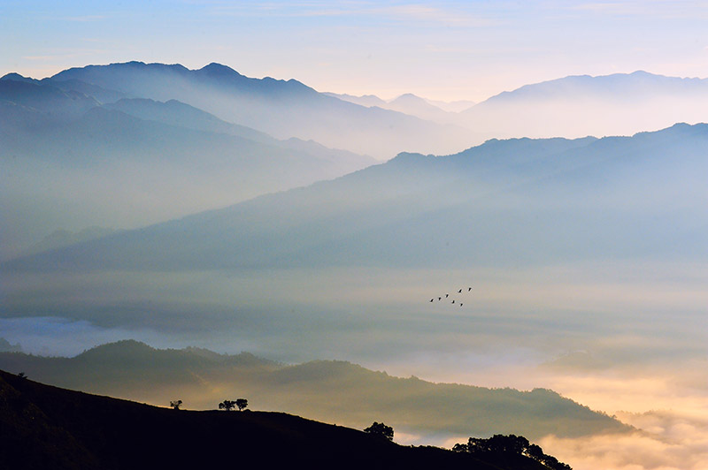 林钢--空山不见人.jpg