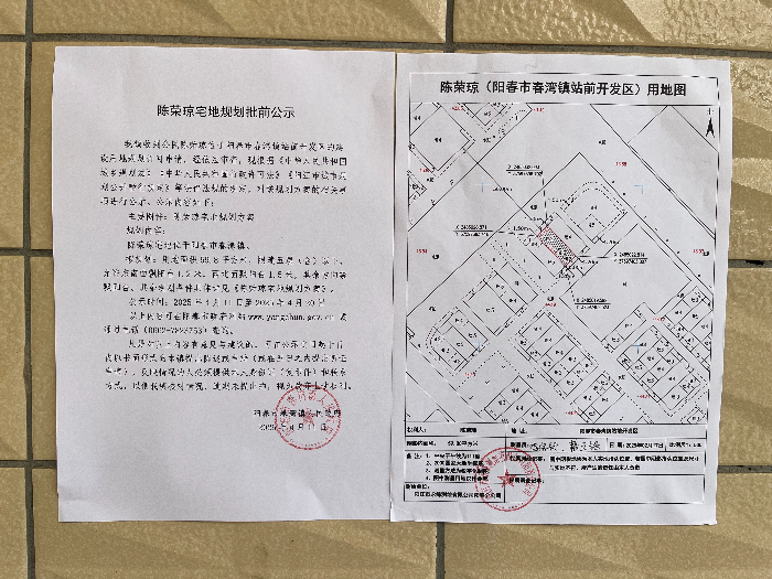 陈荣琼.jpg